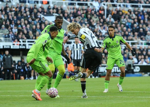 Read more about the article Woltemade gây chấn động tại Newcastle: Kẻ “đánh thức” ký ức bóng đá Chích chòe