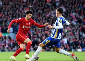 Nhận định bóng đá Brighton vs Liverpool 19:30 – 21.03.2026