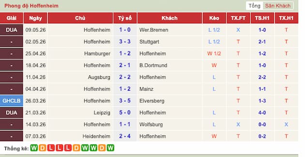 Phong độ gần đây Hoffenheim